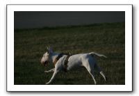 IMG_7145