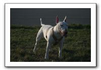 IMG_7146