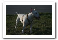 IMG_7147