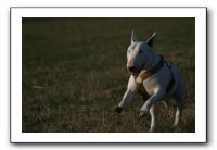 IMG_7151