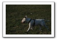 IMG_7166