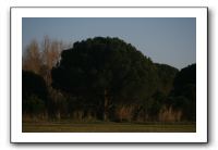 IMG_7168