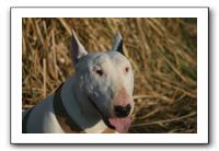 IMG_7178