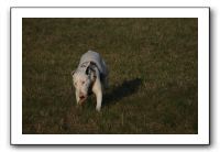 IMG_7181
