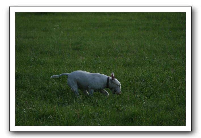 IMG_2160