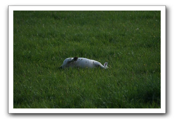 IMG_2163