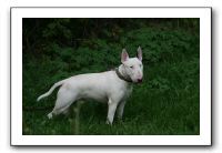 IMG_2080