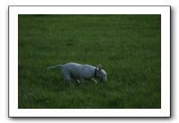 IMG_2160
