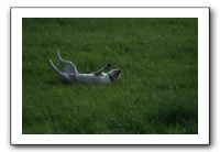 IMG_2161