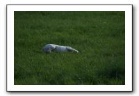 IMG_2162