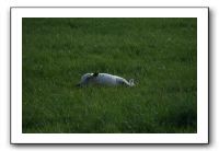 IMG_2163