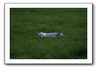IMG_2164