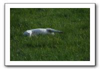 IMG_2167