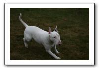 IMG_7954
