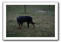 IMG_7958