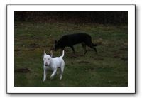 IMG_7967