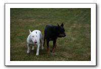 IMG_7983