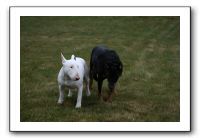 IMG_7984