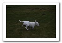 IMG_7951