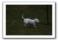 IMG_7952