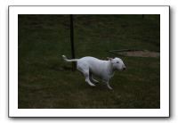IMG_7953
