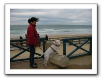 SANY0206