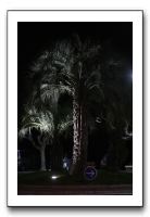 IMG_7590