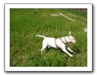 SANY0567