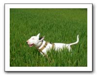 SANY0576