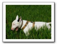 SANY0577
