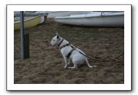 IMG_2560