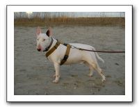SANY0379