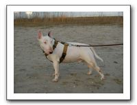 SANY0378