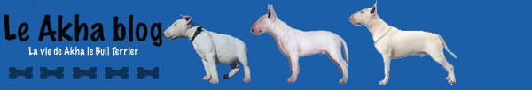 bannierebullo